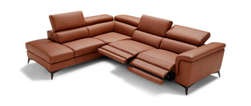 Alfa 2 Piece Leather Sectional - Left Chaise