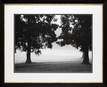 Box Framed Art Assortment - Black & White Photography