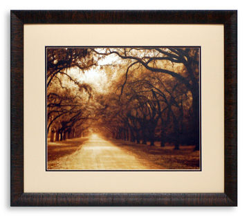 Box Framed Art Assortment - Black & White Photography