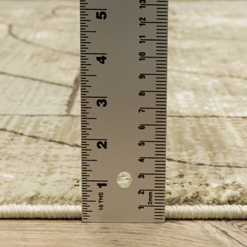 Reed Beige/Brown 5′3″ X 7′6″ Area Rug