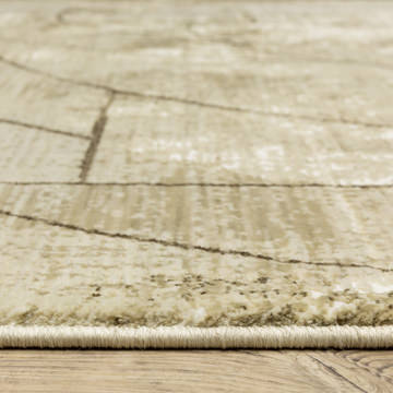Reed Beige/Brown 5′3″ X 7′6″ Area Rug