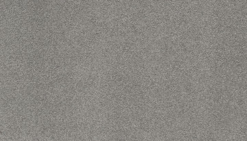 Karastan Island Mood - Shale