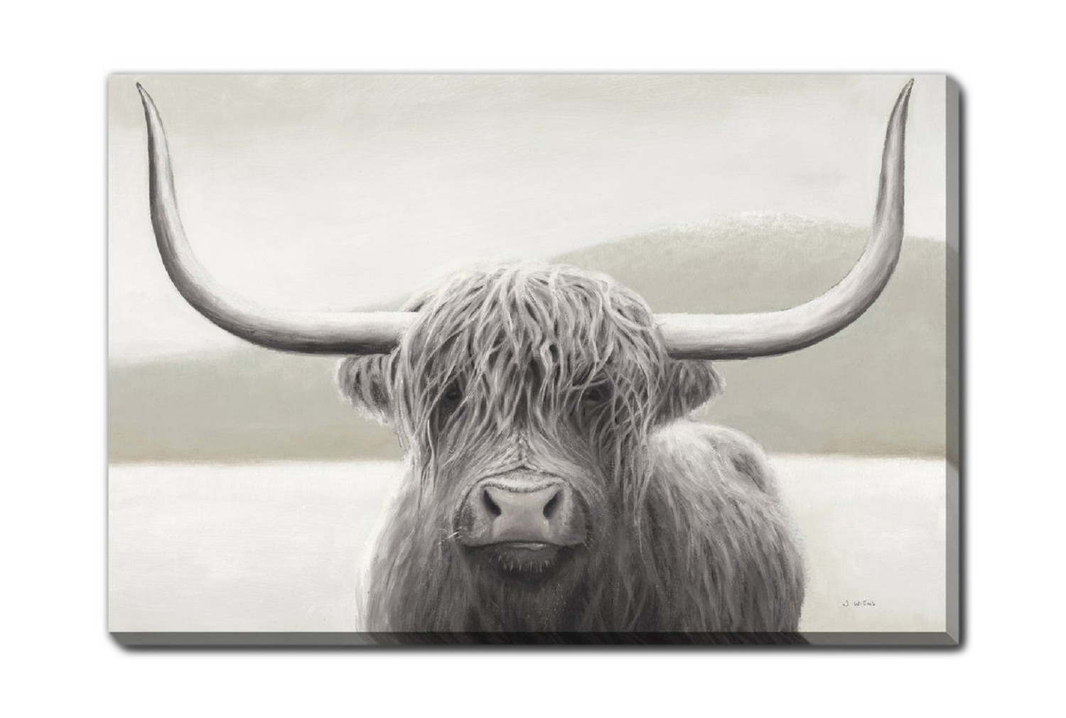 Highland Cow Canvas Art