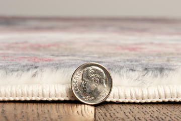 Roxy Blush Landscape - 5′0″ x 7′6″ Area Rug