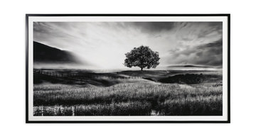 Heavensland Framed Art