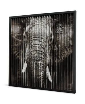 Lion/Elephant Double Art