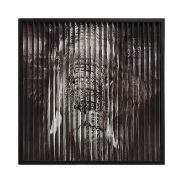 Lion/Elephant Double Art