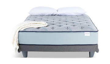 Invigorate Plush Twin Mattress