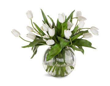 image French Tulip In Glass Vase