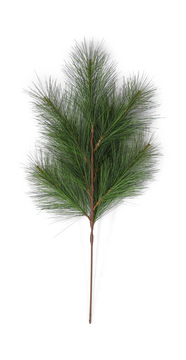 30″ Long Needle Pine Stem - Green