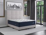 Jewel Plush Mattress - Twin XL thumbnail 6