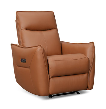 Vanessa Leather Power Recliner