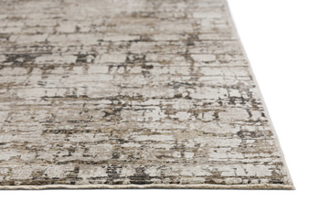 Denizi Putty Area Rug - 3′3″ x 5′3″