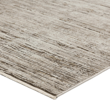 Denizi Putty Area Rug - 3′3″ x 5′3″