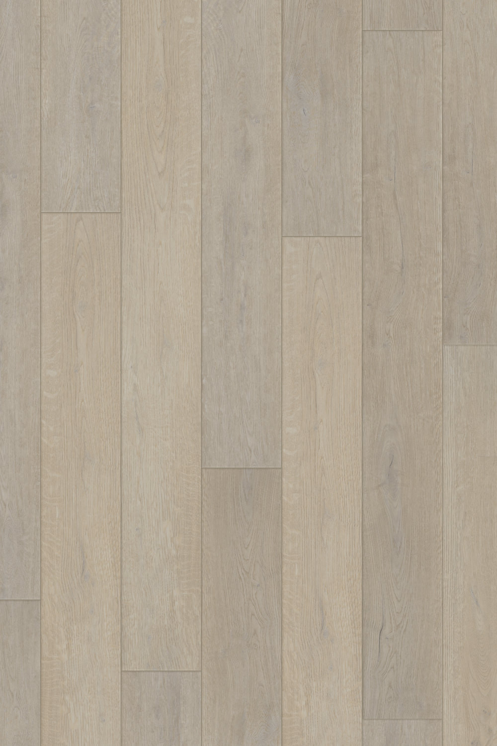 Canopy Comfort - Misty Oak