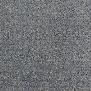 Masland Pedigree - Muttley Crew