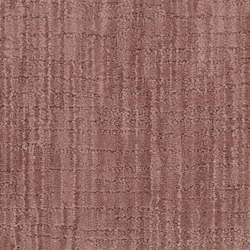 image Masland Vision - Spiced Apple