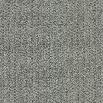 Masland Defined - Dried Moss