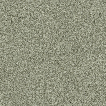 Masland Santa Rosa - Organic