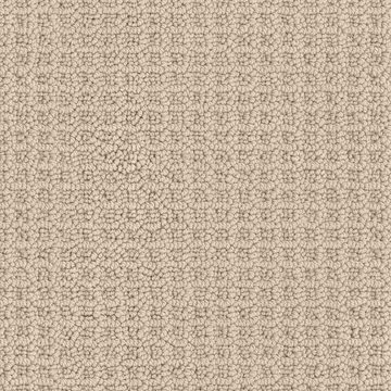 Masland Seascape - Shoreline