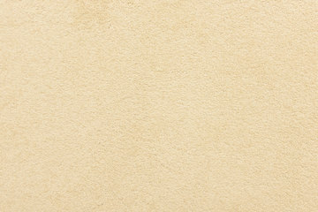 Masland Knockout - Flower