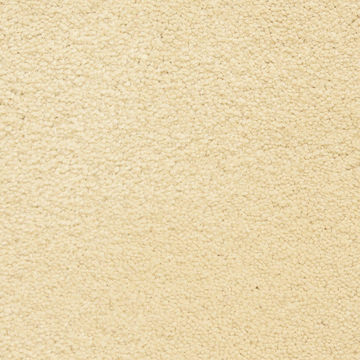 Masland Ravishing - Stunning