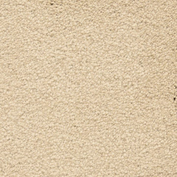 Masland Ravishing - Pleasing