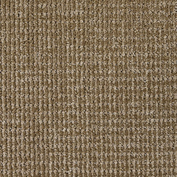 Masland Serene Touch - Poised