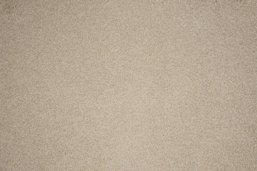 Masland Harbor Town - Marsh