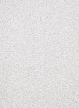 Masland St. Augustine - Forever