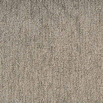 Masland Mesa Bella - Vison