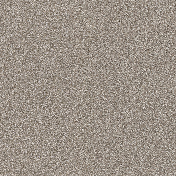 Masland Hunter - Pongo