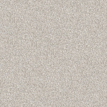 Masland Hunter - Balto