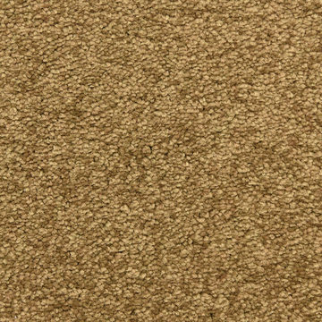 Masland Morgan Bay - Woofruff