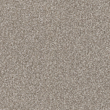 Masland Tracker - Pongo