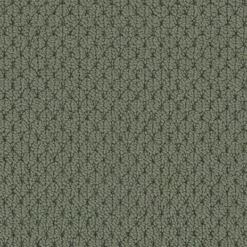 image Fabrica Adulation - Dolce