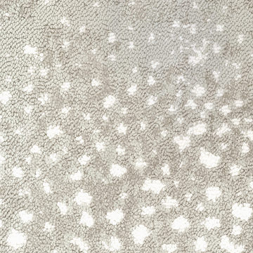 Fabrica Habitat - Kenya