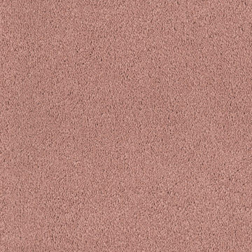 Fabrica Tribute - Siena