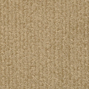 Masland Pinehurst - Divot