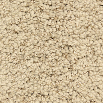 Masland Shangri-La Too - Immortal