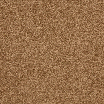 Masland Patriot - Auger