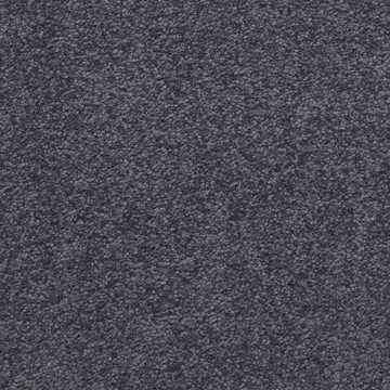 Masland Patriot - Salute