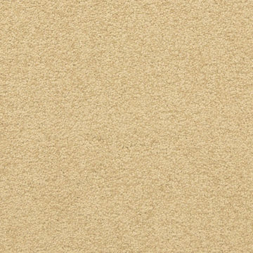 Masland Patriot - Overlook