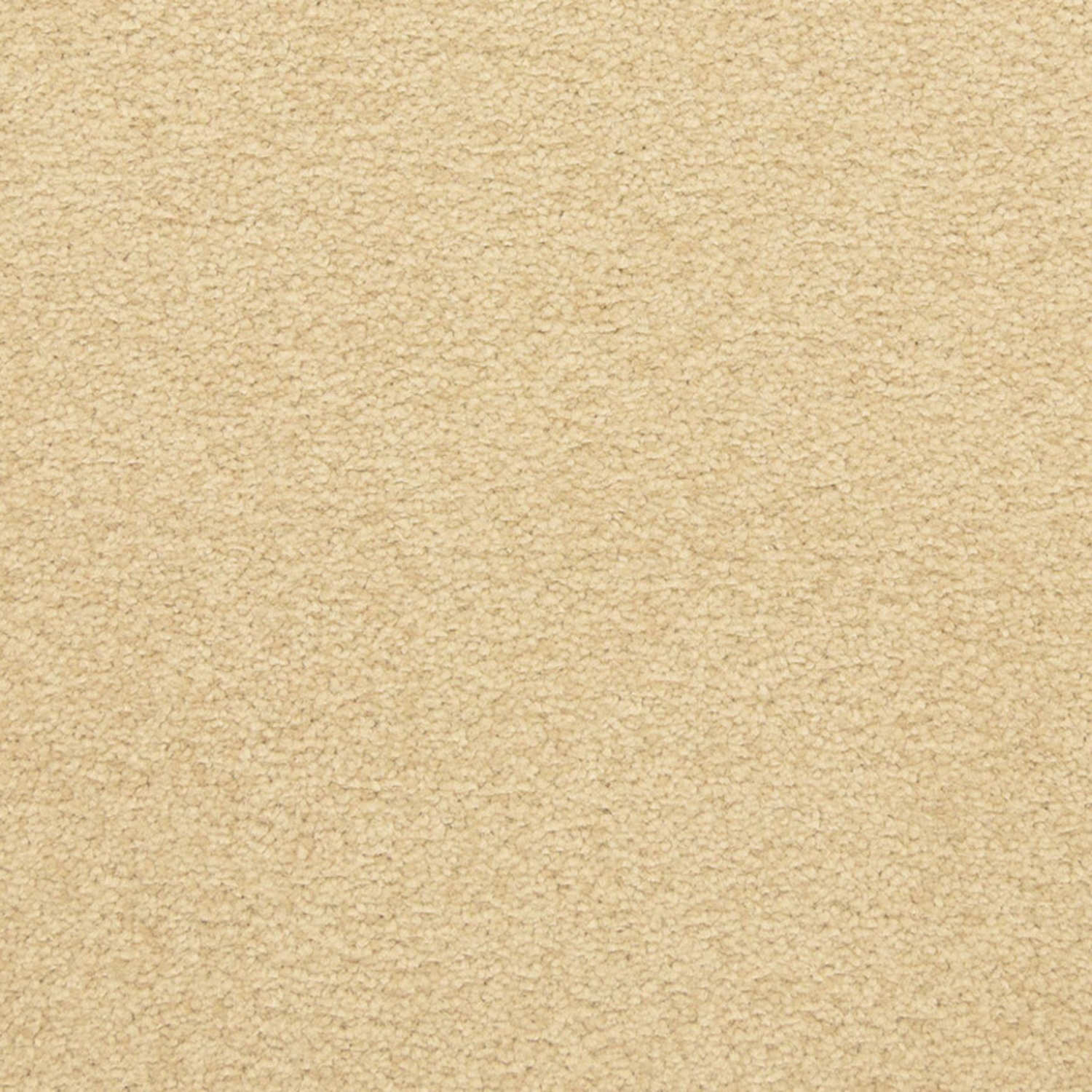 Masland Patriot - Remnant