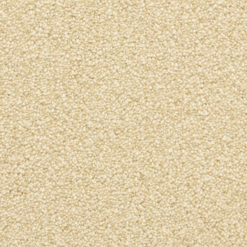 Masland Staccato - Maestro