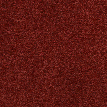 Masland Patriot - Vibrant