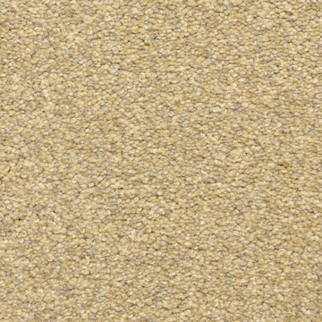 image Masland Staccato - Remnant