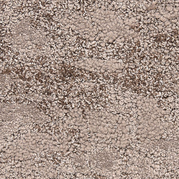 image Fabrica Verona - Oak Street