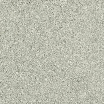 Masland Key West - Tree Moss