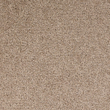 DH Floors Spectrum - Champion